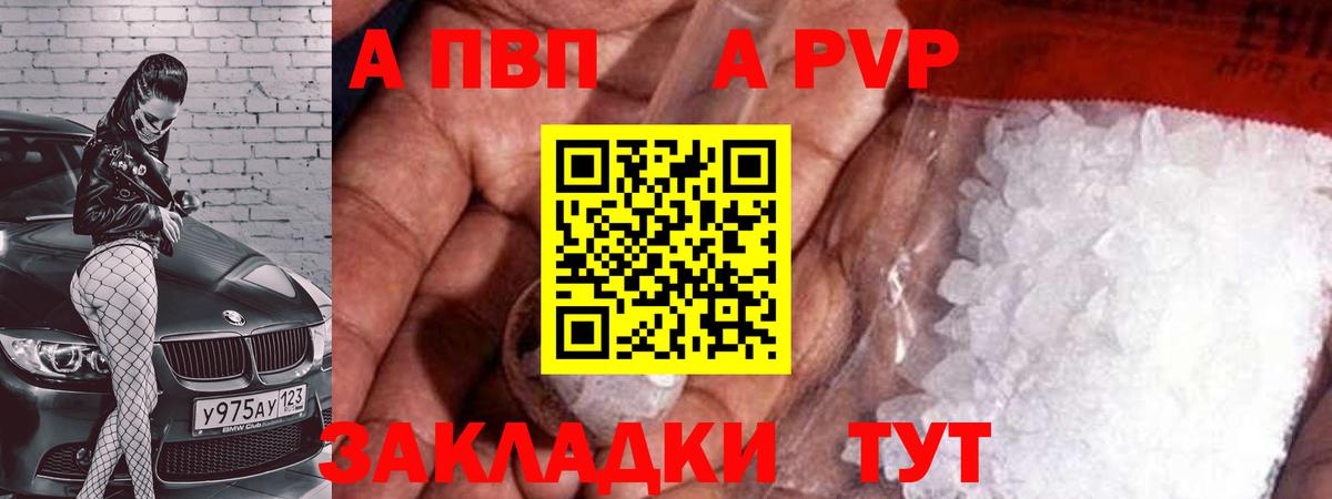 APVP СК Махачкала