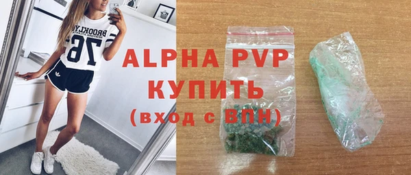 стаф Алексин
