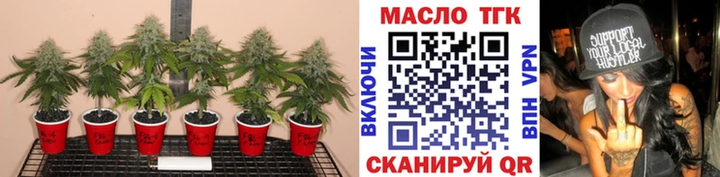 omg сайт  Махачкала  Дистиллят ТГК Wax 