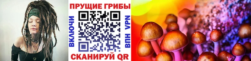 ОМГ ОМГ рабочий сайт  Махачкала  Галлюциногенные грибы GOLDEN TEACHER  цена  