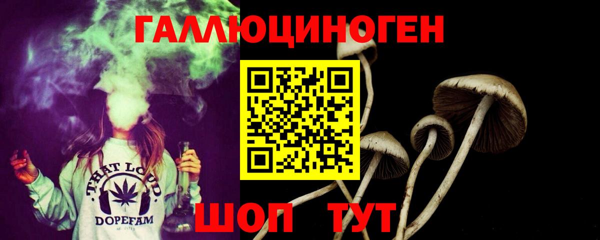 Галлюциногенные грибы ЛСД  Галлюциногенные грибы Psilocybe  Махачкала  Вход с VPN 